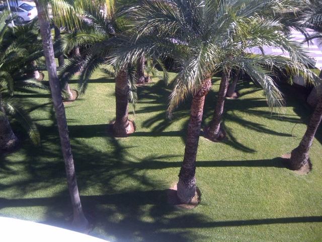 Apartment Martinez Casablanca Alcossebre Eksteriør billede